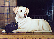 Yellow Lab with Cat Silent Companion